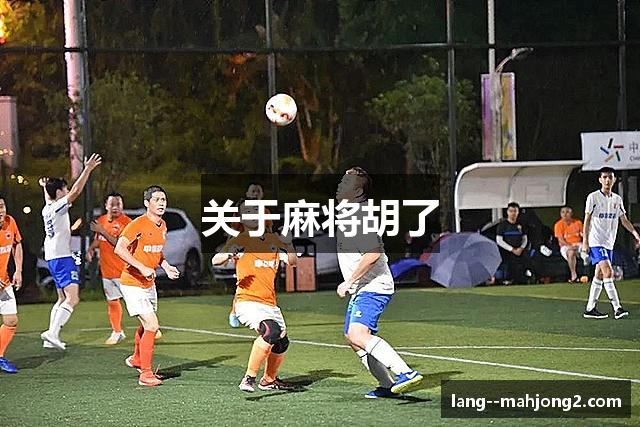 关于麻将胡了